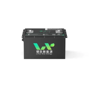 OEM ODM 48V 100Ah Power Golf cart lithium ion battery