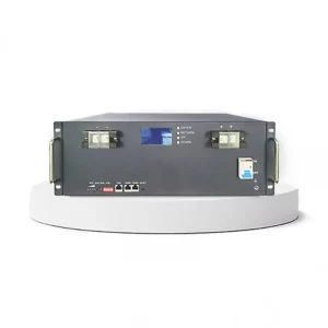 48V 100Ah 200Ah Rack Mount Lithium Ion Battery Module