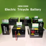 Custom Electric Tricycle Battery