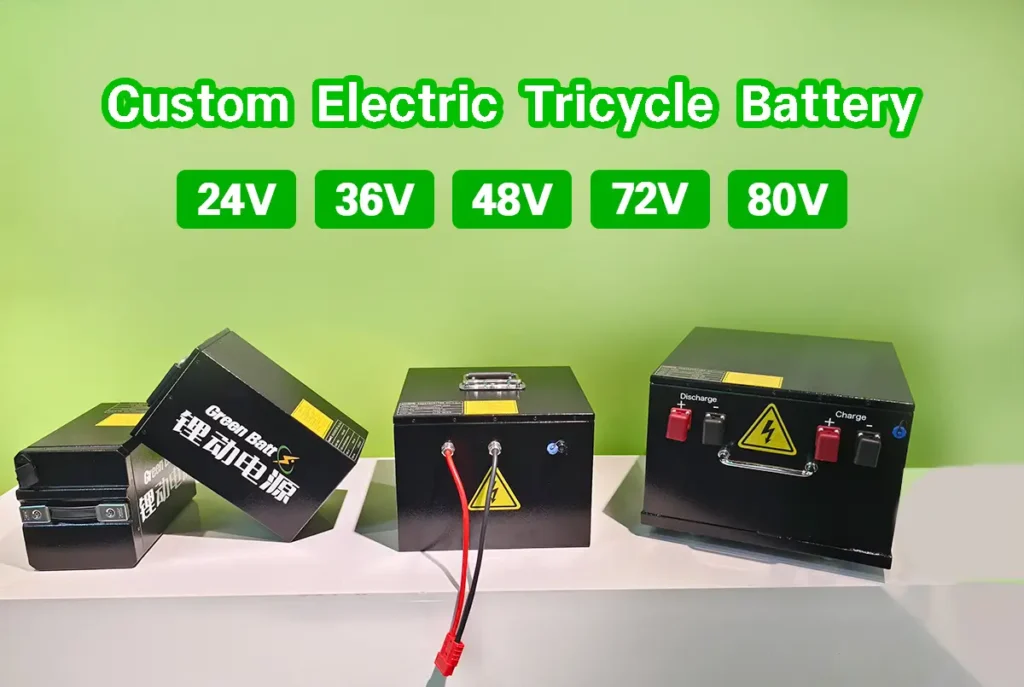 OEM ODM Electric Tricycle Battery