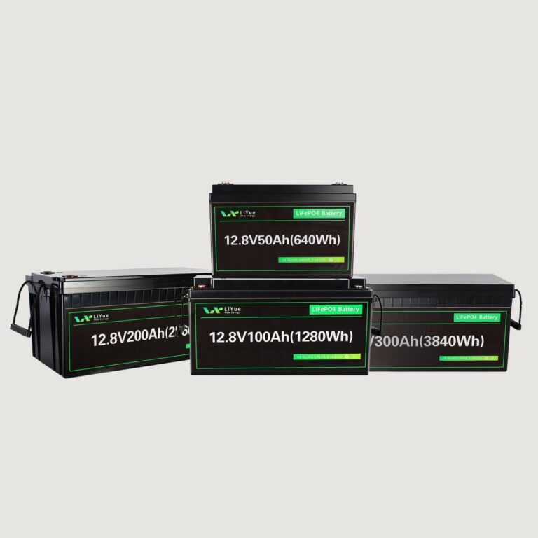 12V 24V LiFePO4 lithium batteries for lead-acid replacement