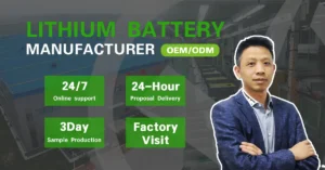 OEM ODM custom lithium battery manufacturer