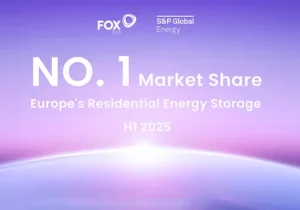 Europe's Residential Energy Storage NO. 1 Market share